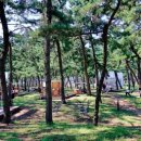 연곡해변 솔향기캠핑장 이미지