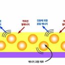 주식회사유시티 이미지