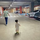 시립목동청소년센터(건물뒤, 후문앞) | 서울형 키즈카페 목동점 후기 주차가능