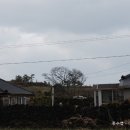 올레민박 이미지