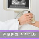 고령군보건소 | 산부인과 산전검사 여자 남자 보건소 비용 후기