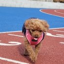 조광동물병원 이미지