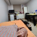 미니스톱순천병원점 | 순천 현대병원 산후조리원 후기 (현대여성아동병원) 2