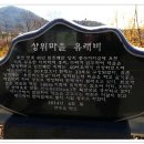 산수유피는마을 이미지