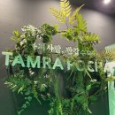 일번가노외공영주차장 앞2 이미지