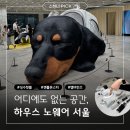 꽃내음하우스 | 어디에도 없는 성수 신상 핫플 하우스노웨어서울 방문 후기
