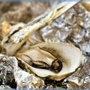 마시란로 이미지