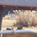 송림2리 이미지