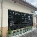 수라쉼터