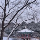 중앙라이프 이미지