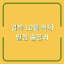 김밥천국영천점 | 경북 10월 축제 일정 총정리