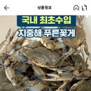 이탈리아산 푸른 꽃게 가격 이미지