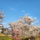 참(charm)행정사 사무소 이미지