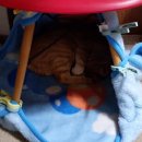 (스압) [매탈남] 뜻밖에 <b>제로</b> 웨이스트 (feat.집사)