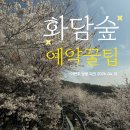 이야기가 있는 풍경 | 공지] 화담숲 벚꽃 실시간 후기! 4일 전에도 예약 가능? 이야기가 있는 숲 후기, 모노레일, 포토스팟...