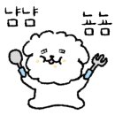 하이댕댕 이미지