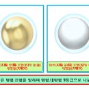 풍수명사 이미지
