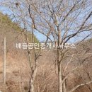 보성공인중개사사무소 티스토리