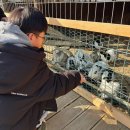 예성목장 이미지