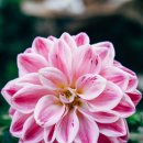 태도슈퍼 이미지