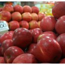 삼흥상사 이미지