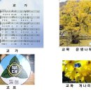 부대초등학교 이미지