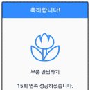 평안자동차정비센타 이미지