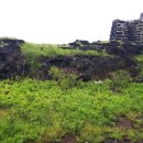 대포동 등명대 이미지