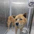 대성빌라 D동 이미지