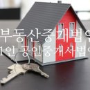 부동산중개법인이상 주식회사 네이버블로그