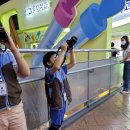 하나인메디칼 | 아이들이 가장 좋아했던 직업체험 추천, 한국잡월드 어린이체험관 후기, 꿀팁, 럭키박스