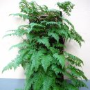 카페구석 이미지