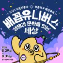 국토정중앙배꼽마을 | 2025년 8월 국토정중앙 청춘양구 배꼽축제