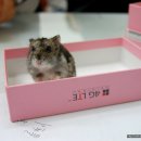 태전동물병원 이미지