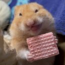 동헌당한의원 | 예? 갑자기 2023년이요?! 맞습니다 못다한 23년 후기입니다