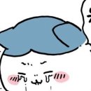 꾸까 이미지