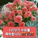 🥳1272기의 수료를 축하합니다!🎊 이미지