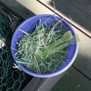 철이네농장 이미지