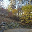 율곡수목원(2) 이미지