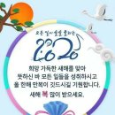 반곡동_시드니블루 네이버블로그