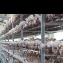 온유농장 이미지