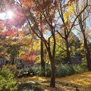 문화예술 | 삶을 느끼고 생각을 키우는 놀이터 - 예술하기와 철학함의 의미 | 한국문화예술교육진흥원 이미지