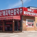 서울갈매기