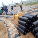 예당농장 이미지