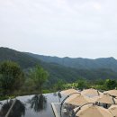 뮤지엄산미술관 | 강원도 원주 뮤지엄산 미술관 후기 유아와 함께한 특별한 여행