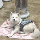 장위동유성집(포천점) 이미지