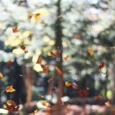 거제사랑치과의원 이미지