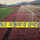 송준호농장 네이버블로그