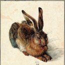 심심토끼 이미지