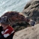 부안오토 이미지